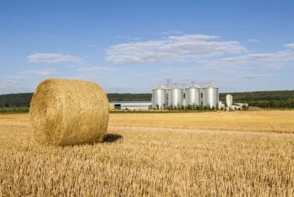 “Continúa elevado”: el Estado se lleva con impuestos el 61,9% de lo que genera una hectárea agrícola “Continúa elevado”: el Estado se lleva con impuestos el 61,9% de lo que genera una hectárea agrícola