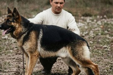 Día Nacional del Perro: la historia de Chonino, el héroe de cuatro patas que inspiró la fecha Día Nacional del Perro: la historia de Chonino, el héroe de cuatro patas que inspiró la fecha