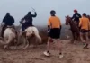 Un grupo de jinetes agredió con fustas y piedras a corredores durante una competencia en Río Negro Un grupo de jinetes agredió con fustas y piedras a corredores durante una competencia en Río Negro