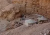 Descubren una tumba faraónica del Nuevo Reino en Luxor Descubren una tumba faraónica del Nuevo Reino en Luxor