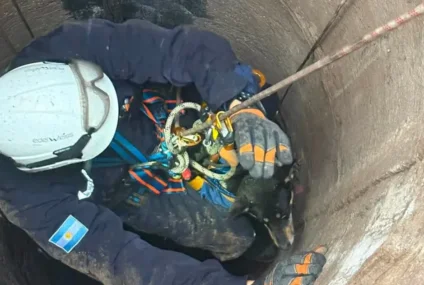 Bomberos pampeanos rescataron a Sasha, una perra que cayó a un pozo de 15 metros Bomberos pampeanos rescataron a Sasha, una perra que cayó a un pozo de 15 metros