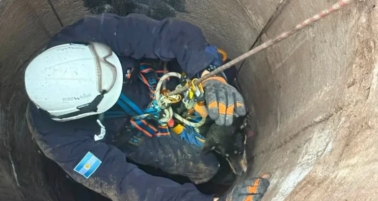 Bomberos pampeanos rescataron a Sasha, una perra que cayó a un pozo de 15 metros Bomberos pampeanos rescataron a Sasha, una perra que cayó a un pozo de 15 metros