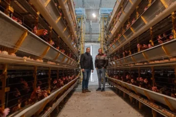 Di Nápoli selló en Rolón un acuerdo con la avícola Don Andrés para ampliar la oferta del Mercado Concentrador Di Nápoli selló en Rolón un acuerdo con la avícola Don Andrés para ampliar la oferta del Mercado Concentrador
