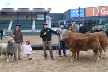 “De Paul”, “Tini Tini” y “Tim Payne” en Palermo: los primeros animales ya están en la Expo Rural 2026 “De Paul”, “Tini Tini” y “Tim Payne” en Palermo: los primeros animales ya están en la Expo Rural 2026