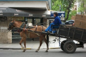 Buscan prohibir por ley la tracción a sangre en toda la provincia de Buenos Aires Buscan prohibir por ley la tracción a sangre en toda la provincia de Buenos Aires