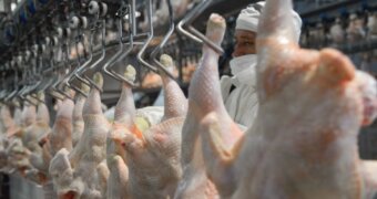 Se agrava la crisis de Granja Tres Arroyos: ofreció pagar parte de los salarios con pollos Se agrava la crisis de Granja Tres Arroyos: ofreció pagar parte de los salarios con pollos