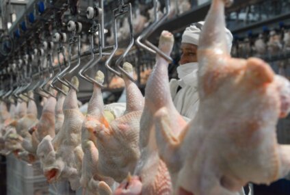 El pollo desplazó a la carne vacuna como la proteína más consumida por los argentinos El pollo desplazó a la carne vacuna como la proteína más consumida por los argentinos