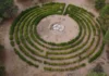 Monte Hermoso avanza en la recuperación y puesta en valor de su Laberinto Vegetal Monte Hermoso avanza en la recuperación y puesta en valor de su Laberinto Vegetal