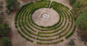 Monte Hermoso avanza en la recuperación y puesta en valor de su Laberinto Vegetal Monte Hermoso avanza en la recuperación y puesta en valor de su Laberinto Vegetal