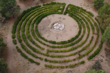 Monte Hermoso avanza en la recuperación y puesta en valor de su Laberinto Vegetal Monte Hermoso avanza en la recuperación y puesta en valor de su Laberinto Vegetal