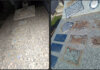 Dolor e indignación por el vandalismo y robo de placas en el Cementerio de Rivera Dolor e indignación por el vandalismo y robo de placas en el Cementerio de Rivera