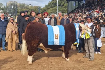 La Rural de Palermo encontró nuevamente sus mejores animales en el Sudoeste Bonaerense La Rural de Palermo encontró nuevamente sus mejores animales en el Sudoeste Bonaerense