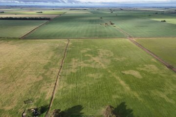 Adolfo Alsina registra uno de los niveles más bajos de tierras extranjerizadas en la provincia de Buenos Aires Adolfo Alsina registra uno de los niveles más bajos de tierras extranjerizadas en la provincia de Buenos Aires