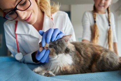 Día del Veterinario: compromiso y dedicación por la salud pública y el bienestar de los animales Día del Veterinario: compromiso y dedicación por la salud pública y el bienestar de los animales