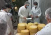 Gobierno modificó el Código Alimentario y cambió reglas para importar y exportar alimentos Gobierno modificó el Código Alimentario y cambió reglas para importar y exportar alimentos