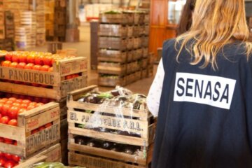 El Gobierno disolvió el INAL y trasladó sus funciones al Senasa: fuerte preocupación de la comunidad celíaca El Gobierno disolvió el INAL y trasladó sus funciones al Senasa: fuerte preocupación de la comunidad celíaca