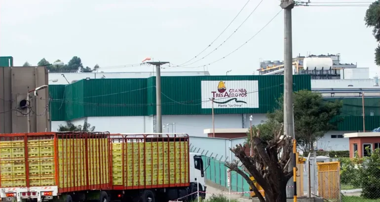 Granja Tres Arroyos pidió su concurso preventivo con una deuda de USD 350,9 millones Granja Tres Arroyos pidió su concurso preventivo con una deuda de USD 350,9 millones