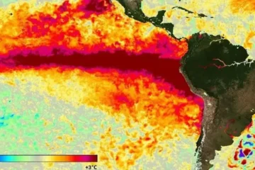 «El evento de El Niño se está volviendo gigantesco»: la advertencia de la ONU para Sudamérica «El evento de El Niño se está volviendo gigantesco»: la advertencia de la ONU para Sudamérica
