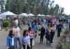 Cazón, el “pueblo del millón de árboles”, cumple 130 años y lo celebra con un gran fin de semana Cazón, el “pueblo del millón de árboles”, cumple 130 años y lo celebra con un gran fin de semana