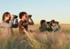 Aves Argentinas busca voluntarios para proteger a la Loica Pampeana en Saavedra y Puan Aves Argentinas busca voluntarios para proteger a la Loica Pampeana en Saavedra y Puan