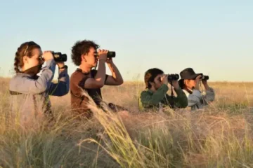 Aves Argentinas busca voluntarios para proteger a la Loica Pampeana en Saavedra y Puan Aves Argentinas busca voluntarios para proteger a la Loica Pampeana en Saavedra y Puan
