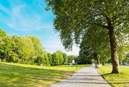 Comienza la primavera, aunque oficialmente llega el 22 de septiembre Comienza la primavera, aunque oficialmente llega el 22 de septiembre