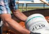 La Colina: polémica por la utilización de un bidón de glifosato para preparar comida en la fiesta del pueblo La Colina: polémica por la utilización de un bidón de glifosato para preparar comida en la fiesta del pueblo