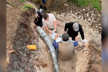 Hallan en la Provincia el «colmillo» de mastodonte más largo de Sudamérica Hallan en la Provincia el «colmillo» de mastodonte más largo de Sudamérica