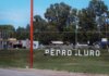 Un productor rural murió tras ser embestido por un toro en Pedro Luro Un productor rural murió tras ser embestido por un toro en Pedro Luro