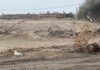 Pehuen Co: denuncian que una bajada a la playa fue bloqueada con palos por vecinos Pehuen Co: denuncian que una bajada a la playa fue bloqueada con palos por vecinos
