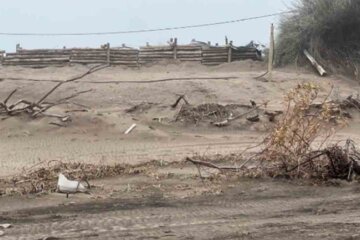 Pehuen Co: denuncian que una bajada a la playa fue bloqueada con palos por vecinos Pehuen Co: denuncian que una bajada a la playa fue bloqueada con palos por vecinos