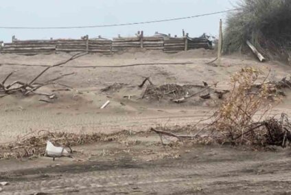 Pehuen Co: denuncian que una bajada a la playa fue bloqueada con palos por vecinos Pehuen Co: denuncian que una bajada a la playa fue bloqueada con palos por vecinos