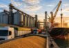 Cosecha récord, logística al límite: a los puertos entran 10.000 camiones por día y se agota la capacidad Cosecha récord, logística al límite: a los puertos entran 10.000 camiones por día y se agota la capacidad