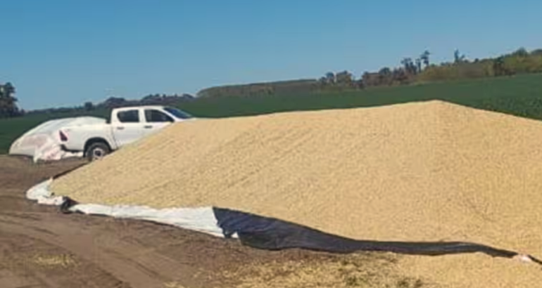 CARBAP celebró el dictamen de Diputados para la ley que agrava las penas por vandalismo rural CARBAP celebró el dictamen de Diputados para la ley que agrava las penas por vandalismo rural