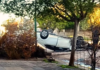 Un joven volcó con su automóvil tras chocar contra una planta en Rivera Un joven volcó con su automóvil tras chocar contra una planta en Rivera