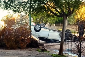 Un joven volcó con su automóvil tras chocar contra una planta en Rivera Un joven volcó con su automóvil tras chocar contra una planta en Rivera