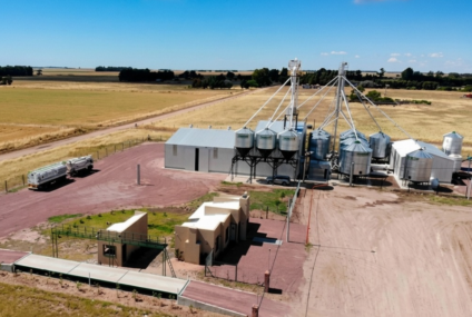 Condenaron a tres años de prisión condicional al autor del robo en una planta de Darregueira Condenaron a tres años de prisión condicional al autor del robo en una planta de Darregueira