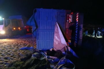 Un camión volcó su acoplado y desparramó su carga de trigo sobre la Ruta 33 Un camión volcó su acoplado y desparramó su carga de trigo sobre la Ruta 33