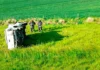 Accidente cerca de Carhué: volcó una camioneta y sus dos ocupantes fueron asistidos Accidente cerca de Carhué: volcó una camioneta y sus dos ocupantes fueron asistidos