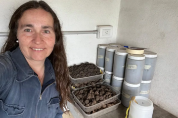 Diputados denuncian censura y persecución a una investigadora del INTA que estudió la presencia de agroquímicos en personas Diputados denuncian censura y persecución a una investigadora del INTA que estudió la presencia de agroquímicos en personas