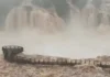 Cataratas del Iguazú: el caudal aumentó seis veces, cerraron circuitos y hay 154 evacuados en Misiones Cataratas del Iguazú: el caudal aumentó seis veces, cerraron circuitos y hay 154 evacuados en Misiones