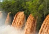 Cataratas: activan el protocolo de seguridad debido a la crecida extraordinaria del río Iguazú Cataratas: activan el protocolo de seguridad debido a la crecida extraordinaria del río Iguazú