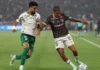 Palmeiras busca otra final de Libertadores ante Fluminense Palmeiras busca otra final de Libertadores ante Fluminense