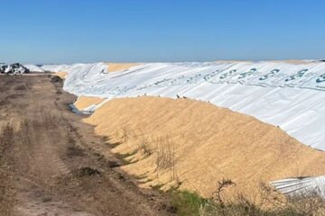 Vandalismo rural: Diputados aprobó un proyecto que prevé hasta 10 años de prisión Vandalismo rural: Diputados aprobó un proyecto que prevé hasta 10 años de prisión